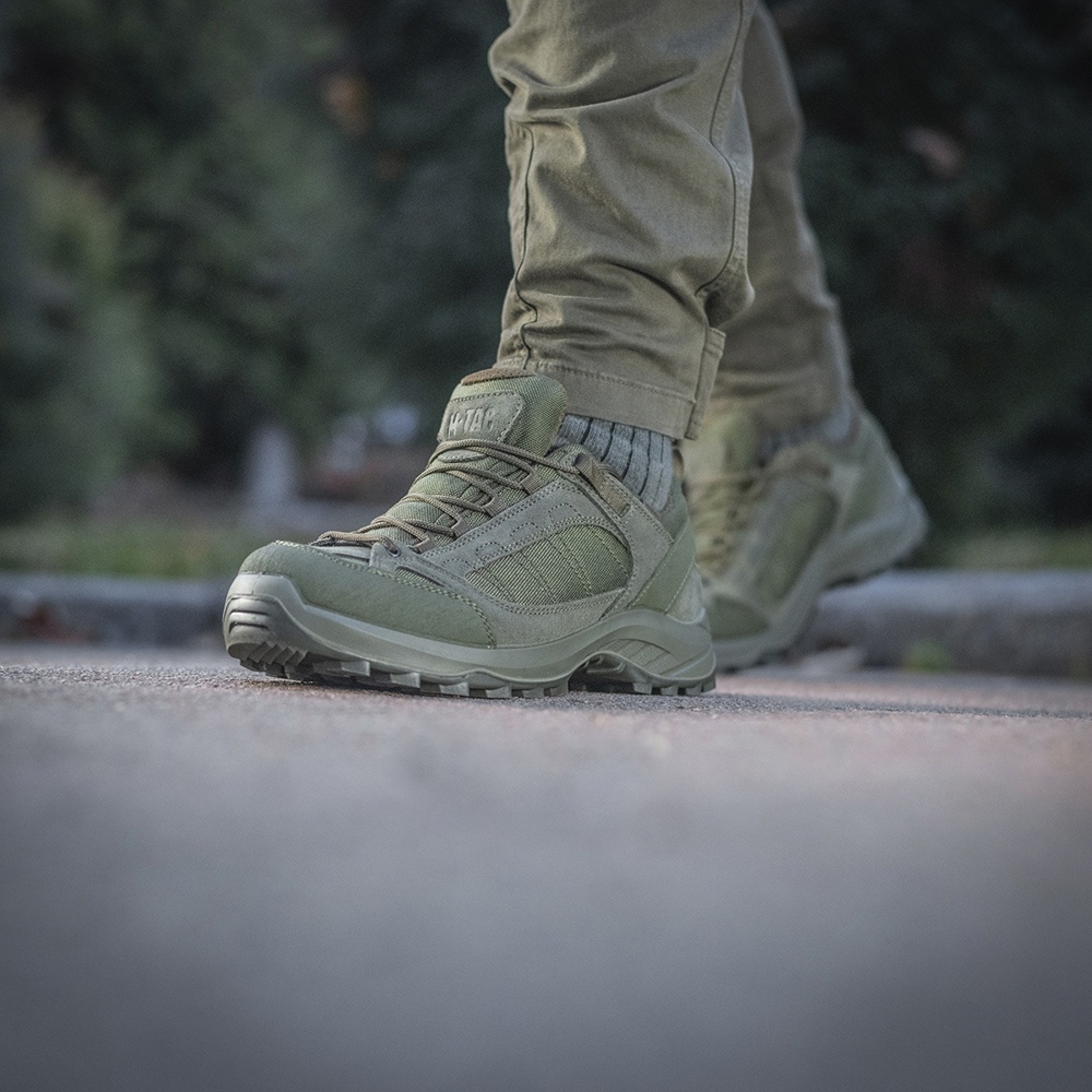 Głęboka zieleń Ranger Green