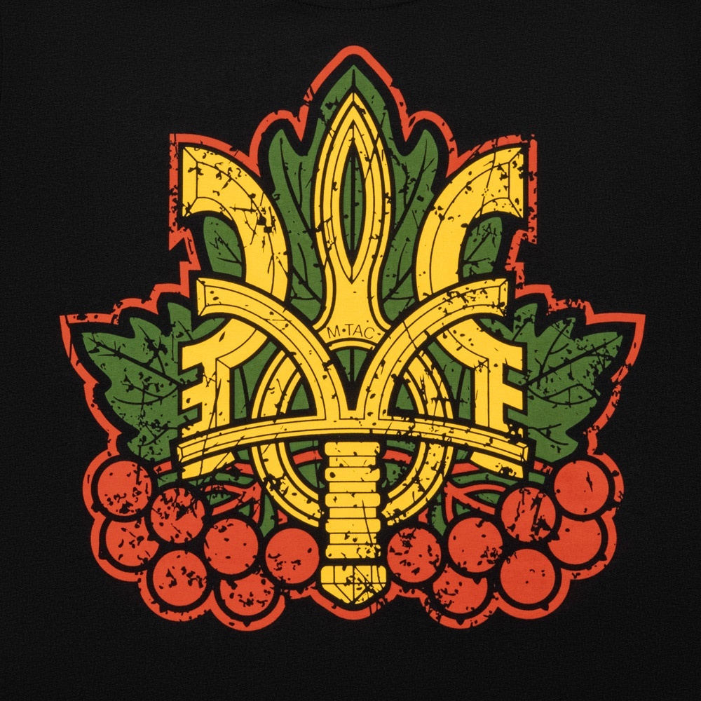 Kontrolowana i celowa elastyczność liniowa