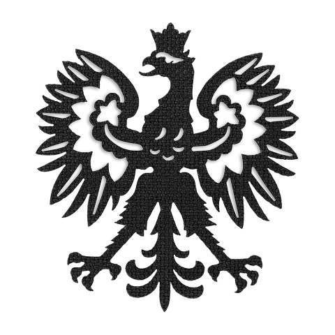 M-TAC Naszywka na rzep Polski Orzeł „Przechodzi na wylot" Laser Cut
