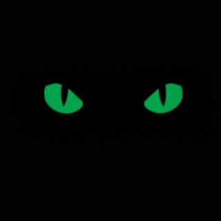 M-TAC Naszywka na rzep Cat Eyes Type 2 Laser Cut Coyote GID