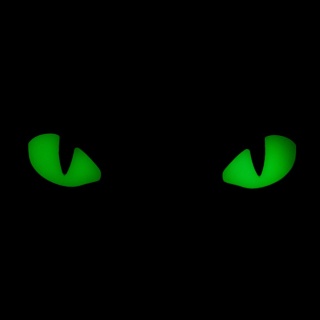 M-TAC Naszywka na rzep Cat Eyes 3D PVC Coyote